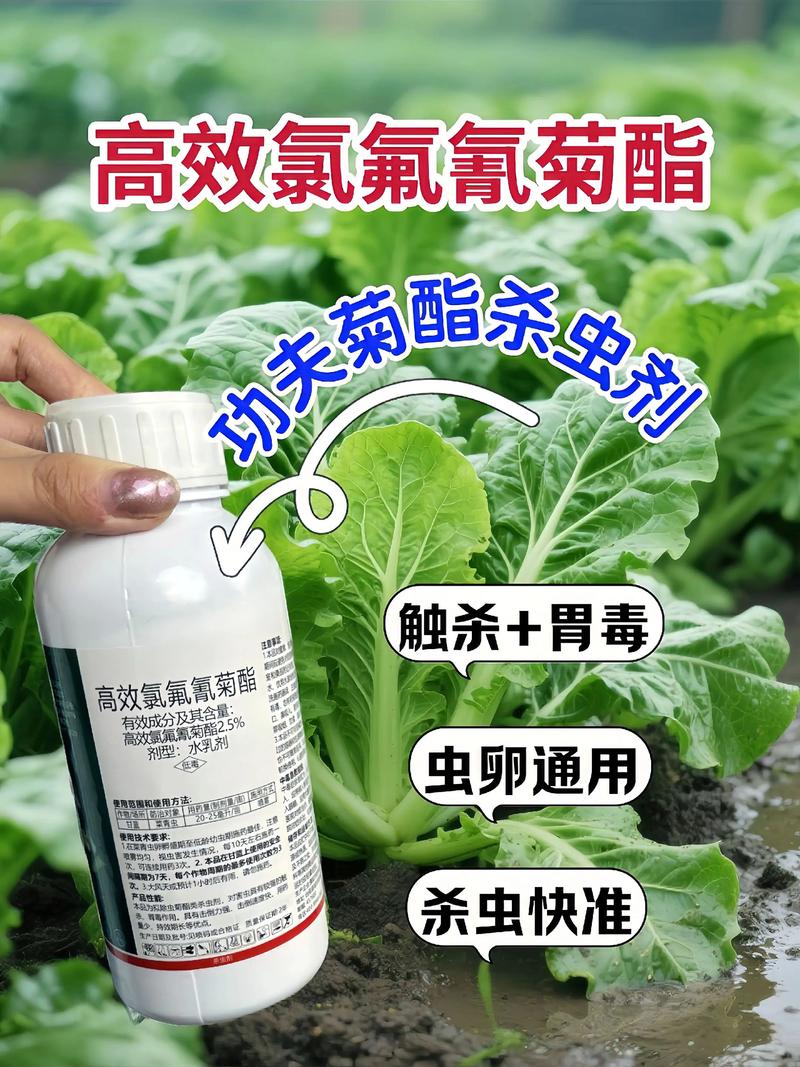 青岛代生中心:农药对供卵代生妈妈的危害